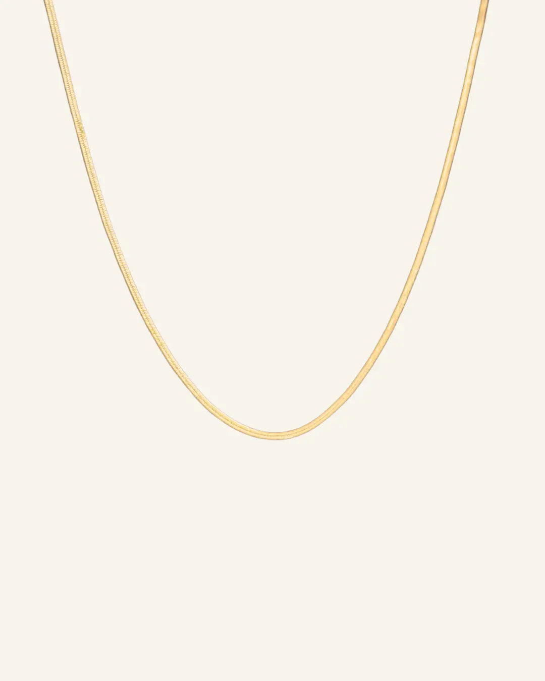 Herringbone Necklace 2mm gold-filled flat chain displayed on neutral background