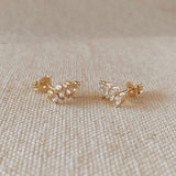 Cluster Curved Studs