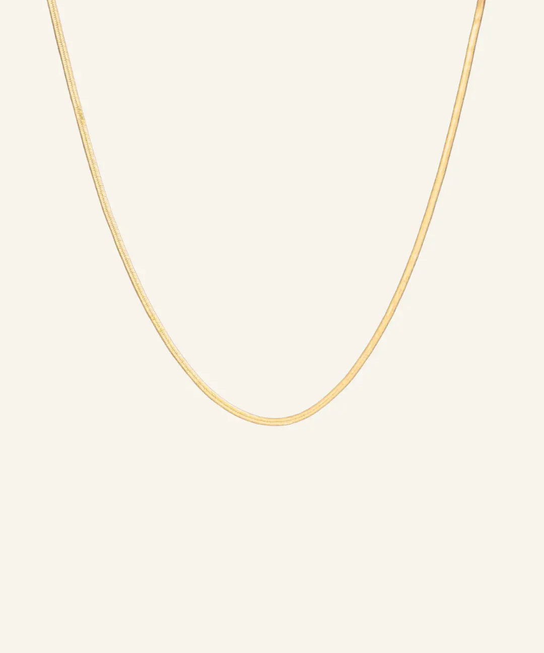 Herringbone Necklace 2mm gold-filled flat chain displayed on neutral background